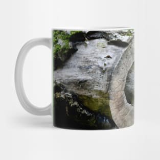 Wild cat IV/ Swiss Artwork Photography Mug